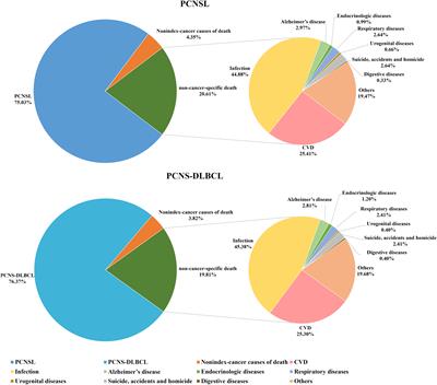 Non-cancer-specific survival in patients with primary central nervous system lymphoma: A multi-center cohort study